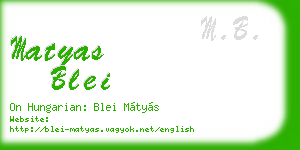 matyas blei business card